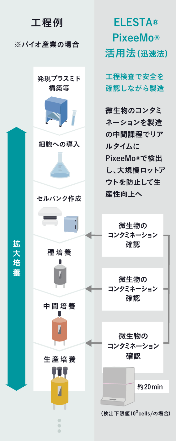 バイオ医薬品製造フローにおける運用方法