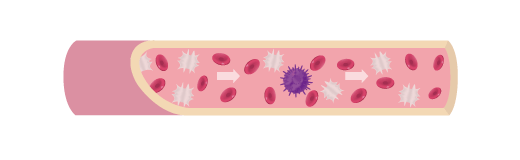 CTC・希少細胞分離