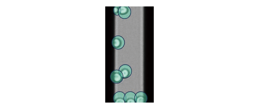 検出した微生物を自動カウント