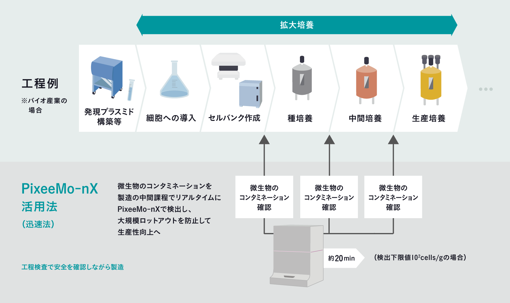 バイオ医薬品製造フローにおける運用方法