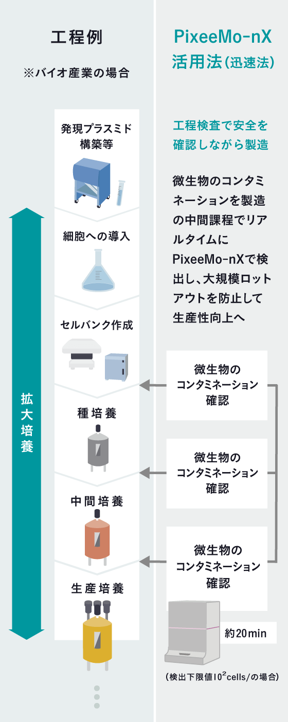 バイオ医薬品製造フローにおける運用方法