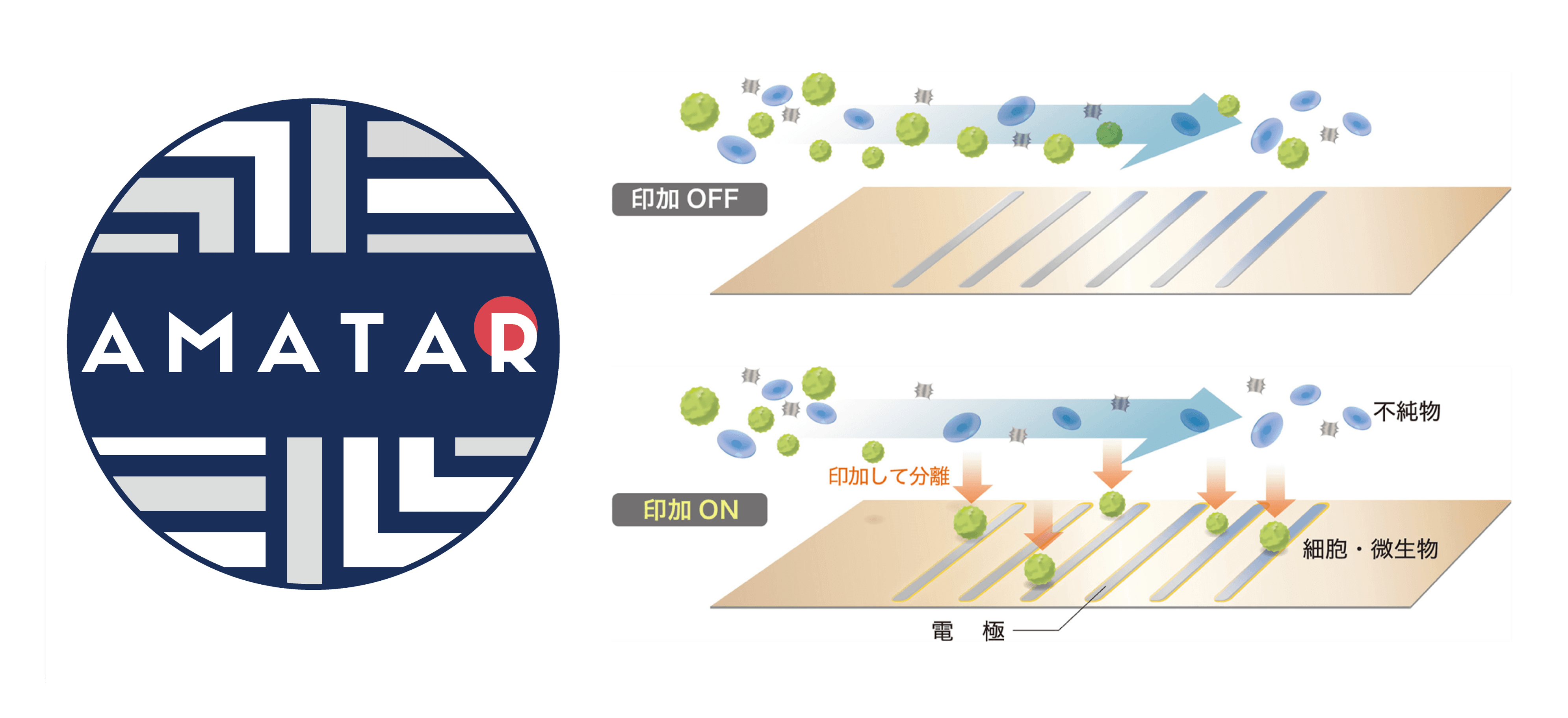 AMATAR<sup>&trade;</sup>(アマタ)”の仕組み図解