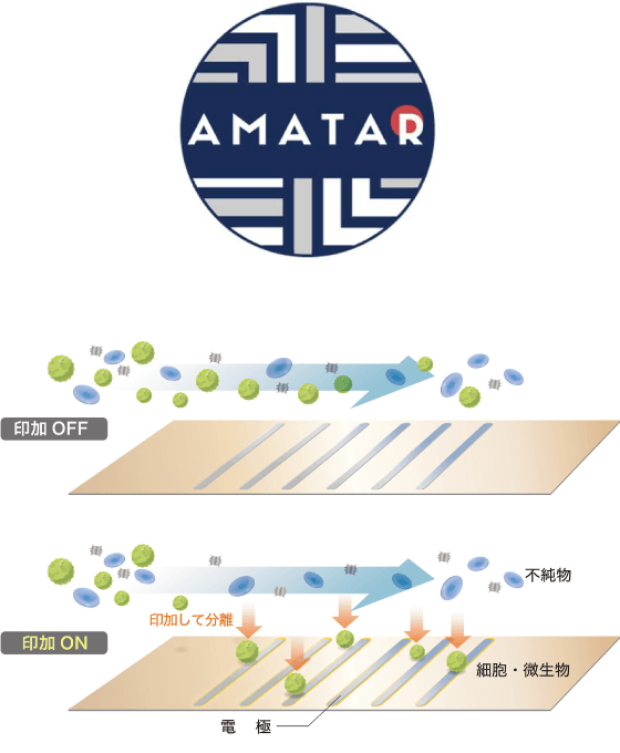 AMATAR<sup>®</sup>(アマタ)”の仕組み図解