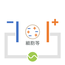 電極イメージの模式図です。