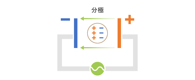 電極間にある誘電体（細胞等）は電界の影響を受けて、細胞質などの電解質が分極します。