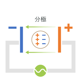 電極間に誘電体（細胞等）は電界の影響を受けて、細胞質などの電解質が分極します。