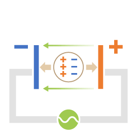 分極することにより、それぞれの電極に引き寄せられる力が働きます。但し、この状態ではそれぞれに力が打ち消し合うので、細胞はどちらにも移動しません。