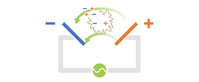 死菌のように細胞膜が破損して電解質が漏れている場合です。